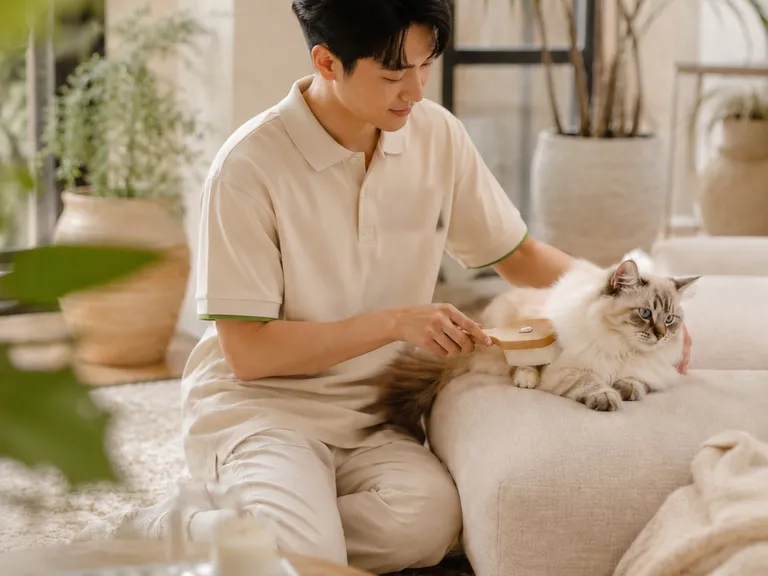 A Veyya groomer brushing a cat on a sofa in a bright Bangkok condo, representing at-home pet grooming.